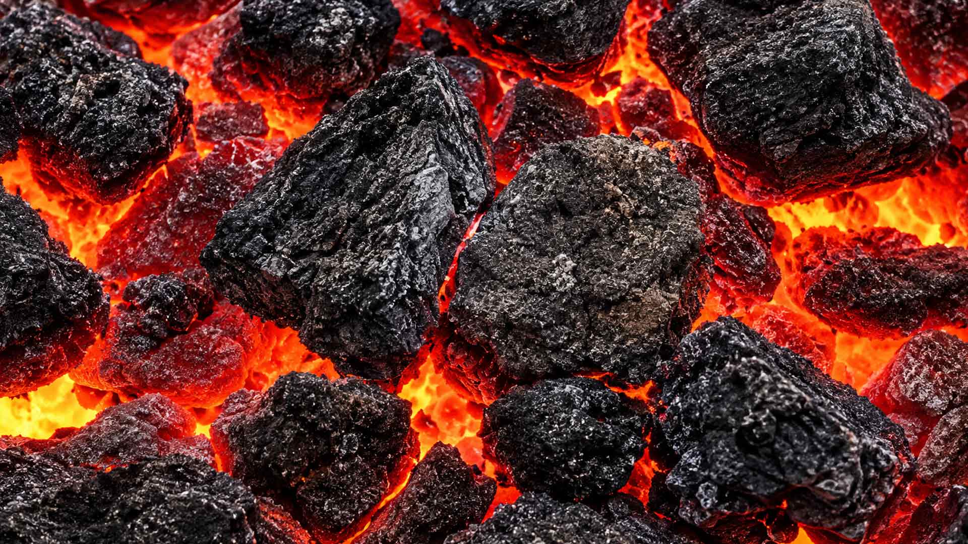 Coal