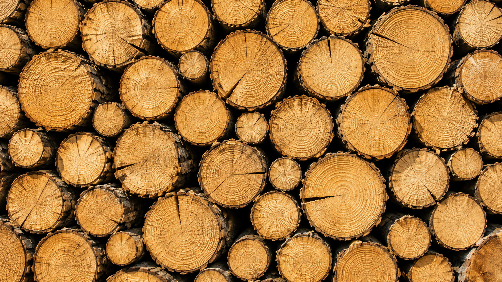Logs